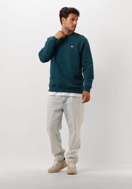 TOMMY JEANS Pull TJM REG BADGE CREW EXT en bleu - large