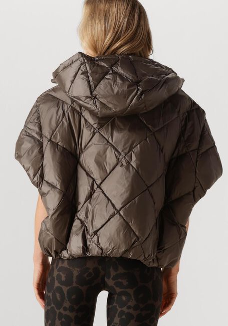 Taupe DEBLON SPORTS Gewatteerde jas STEVIE BODYWARMER - large
