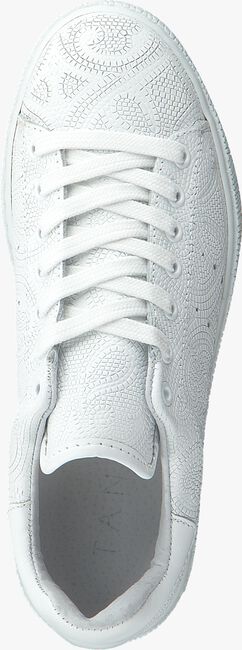Witte TANGO Lage sneakers CHANTAL 12 - large