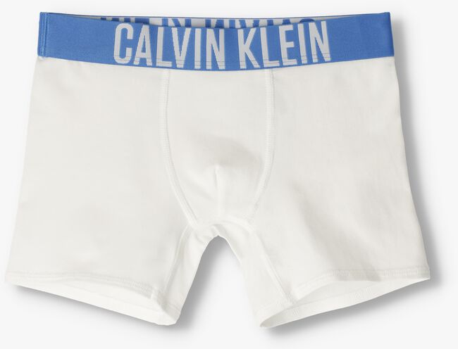 CALVIN KLEIN UNDERWEAR Boxer 2PK BOXER BRIEF en multicolore - large