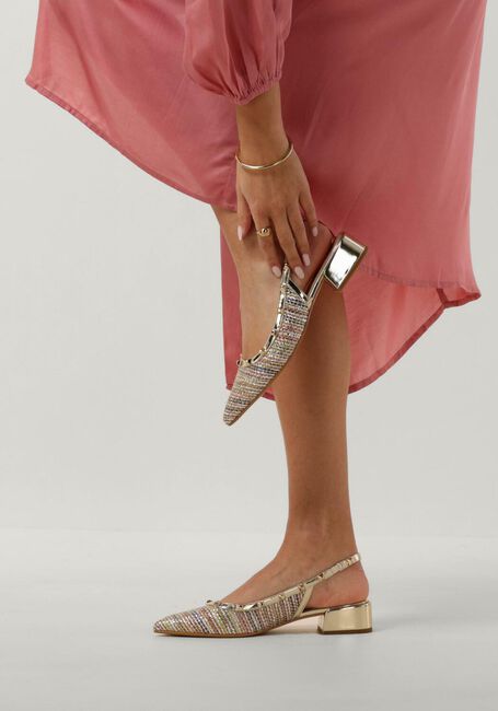 Multi LODI  ATESA-TE Multi LODI  ATESA-TE - large