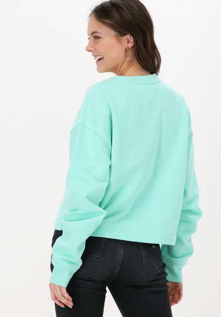 TOMMY JEANS Chandail TJW CROP TOMMY SIGNATURE CREW Menthe - large