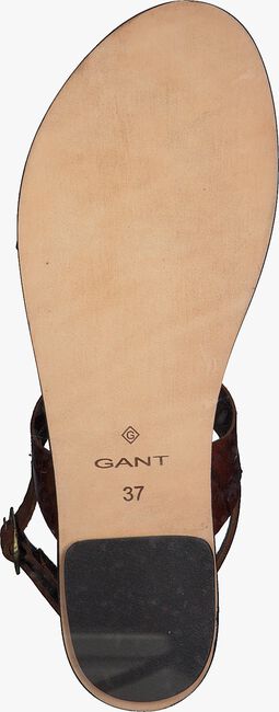 Bruine GANT Sandalen BEECHUM - large