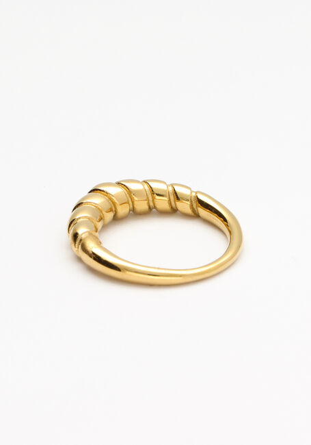 Gouden NOTRE-V Ring RING GEDRAAID - large