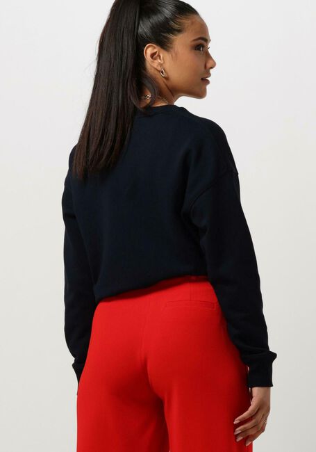 Blauwe TOMMY HILFIGER Sweater REG MONOTYPE EMB SWEATSHIRT - large