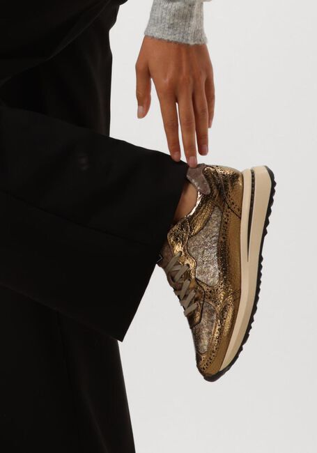 Gouden FLORIS VAN BOMMEL Sneakers SUMI 07.08 - large