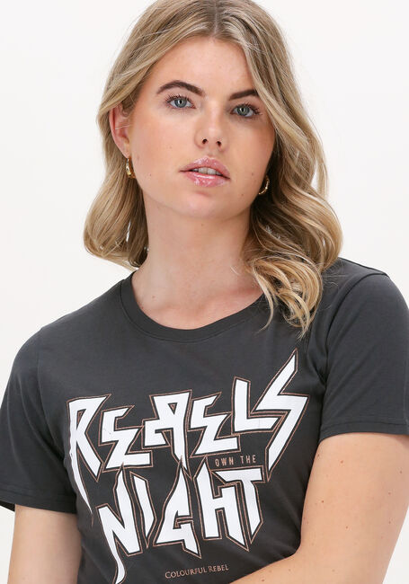 Grijze COLOURFUL REBEL T-shirt REBELS NIGHT GLITTER CLASSIC T - large
