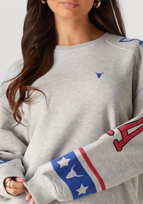 Grijze ALIX THE LABEL Sweater LADIES KNITTED SPORTS SWEATER - large