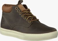 taupe TIMBERLAND shoe 5344/5345  - medium