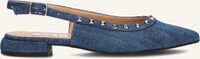 Blauwe NOTRE-V  12270 Blauwe NOTRE-V  12270 - medium