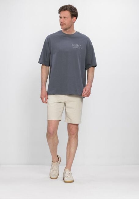 DSTREZZED Pantalon courte DS_LANCASTER SHORTS en beige - large