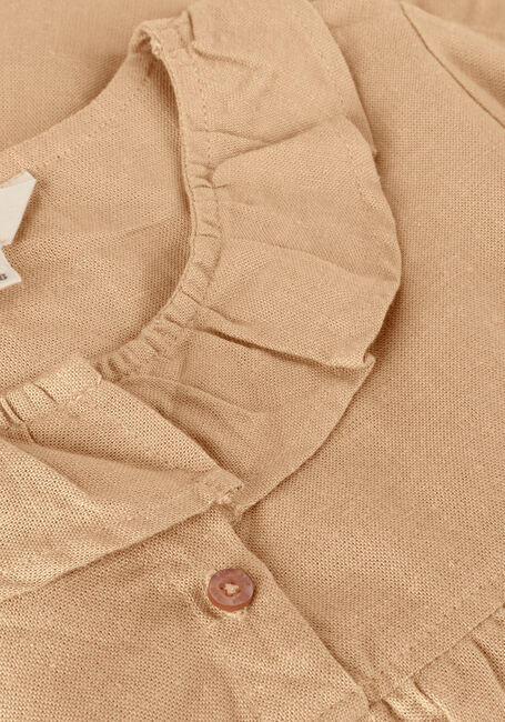 Roze BAJE STUDIO  BERRA Roze BAJE STUDIO  BERRA - large