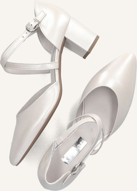 Witte GABOR  343 Witte GABOR  343 - large