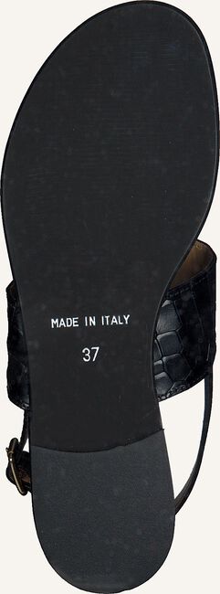 Zwarte NOTRE-V Sandalen 18553 Zwarte NOTRE-V Sandalen 18553 - large