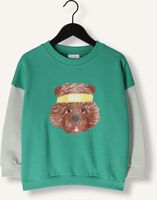 Groene DAILY BRAT Sweater FUZZY WUZZY SWEATER Groene DAILY BRAT Sweater FUZZY WUZZY SWEATER - medium