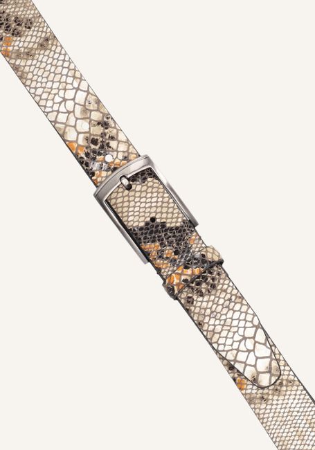 Taupe MAZZELTOV Riem ENZO BELT Taupe MAZZELTOV Riem ENZO BELT - large