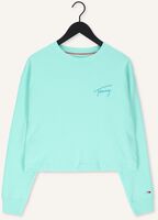 TOMMY JEANS Chandail TJW CROP TOMMY SIGNATURE CREW Menthe TOMMY JEANS Chandail TJW CROP TOMMY SIGNATURE CREW Menthe - medium