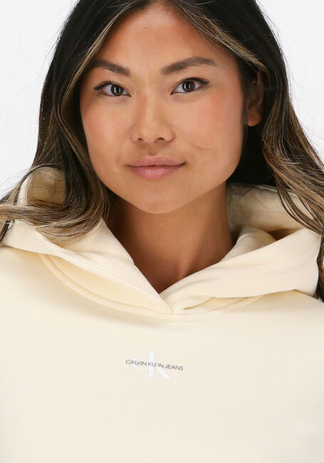 CALVIN KLEIN Chandail MICRO MONOGRAM HOODIE 7 Crème - large