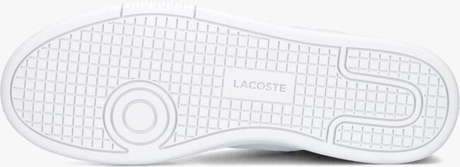LACOSTE LINESET Baskets basses en blanc - large