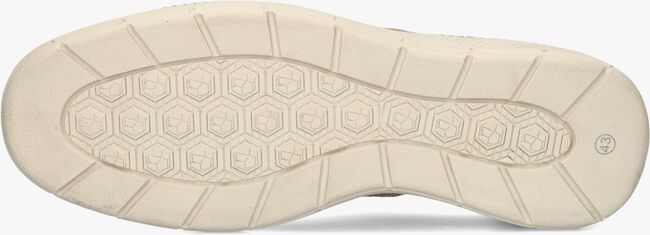AUSTRALIAN POZZATO Chaussures à lacets en beige - large