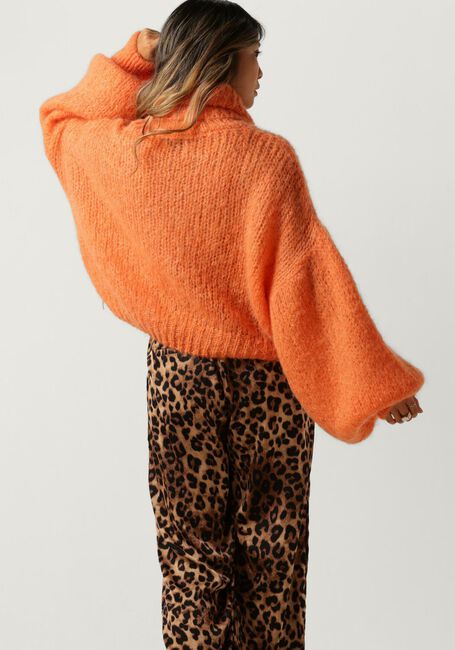 Oranje AMERICAN DREAMS Coltrui PEPPER ROLL NECK CROPPED - large
