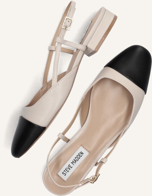 Zand STEVE MADDEN  BELINDA Zand STEVE MADDEN  BELINDA - large