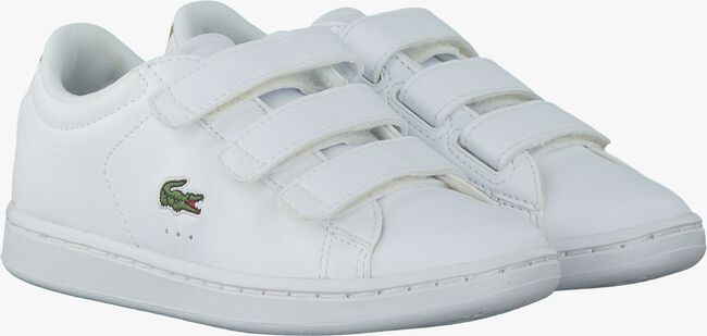 Witte LACOSTE Sneakers CARNABY - large