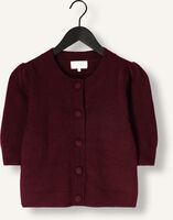 NOTRE-V NV-GOLDA NOTRE-V NV-GOLDA - medium