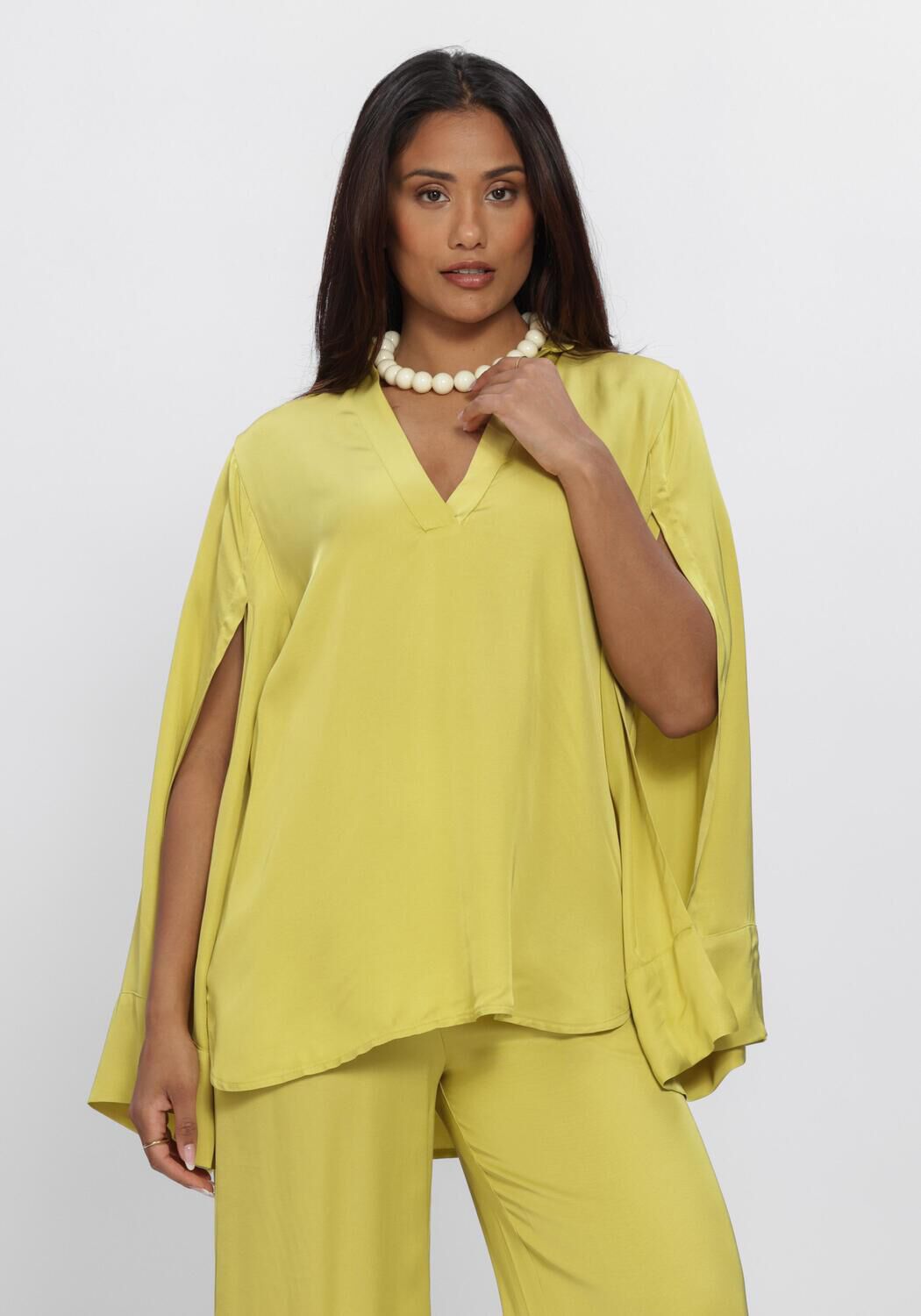 Groene NEMA  N017 - large