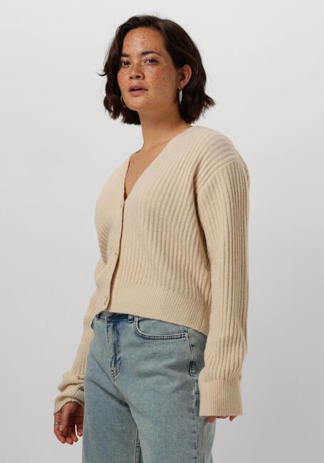 ENVII Gilet ENPIPIT LS CARDIGAN 7217 Écru - large
