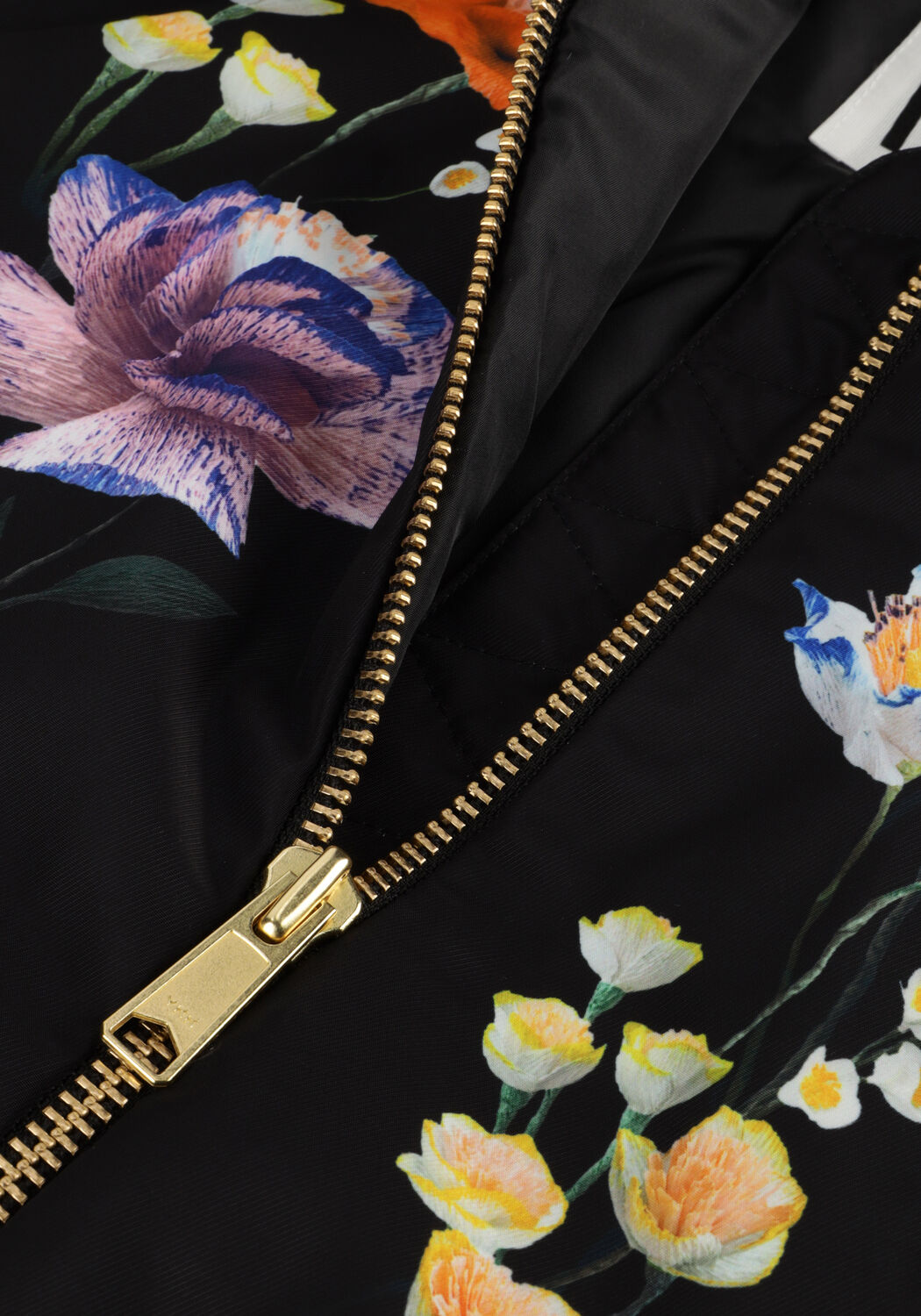 Zwarte MOLO Jack HEDIA - large