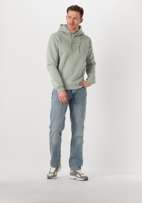 Groene PURE PATH Sweater REGULAR FIT HOODIE LS SWEATERS - large
