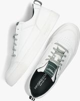 Witte MCGREGOR Lage sneakers EXIST - medium