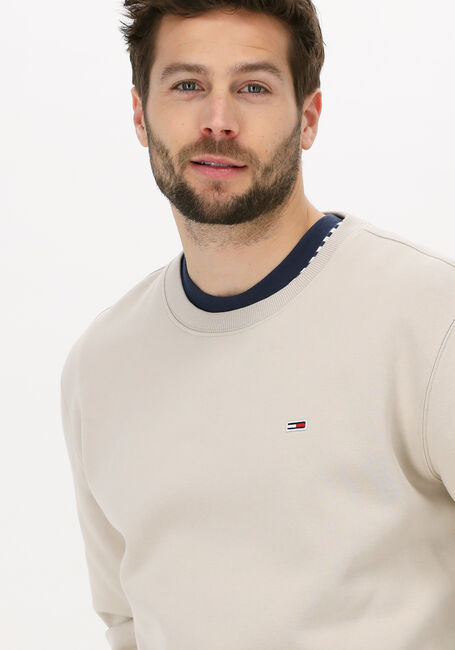 TOMMY JEANS Chandail TJM REGULAR FLEECE C NECK en beige - large
