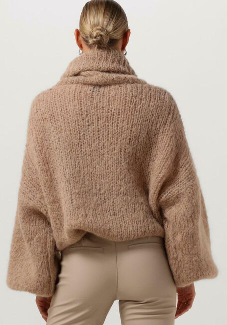 Bruine AMERICAN DREAMS Coltrui PEPPER ROLL NECK ALPACA PULLOVER - large