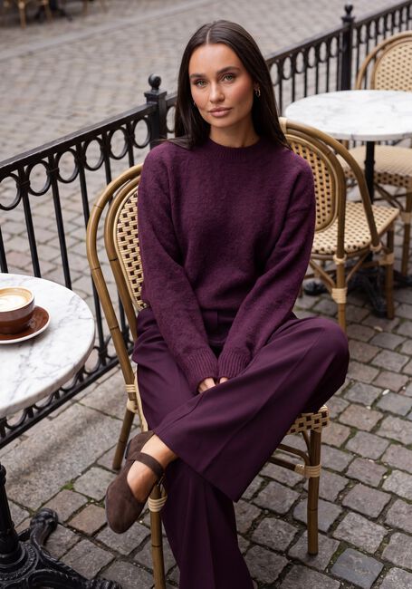 MSCH COPENHAGEN Trui MSCHFESTINA HOPE PULLOVER - large