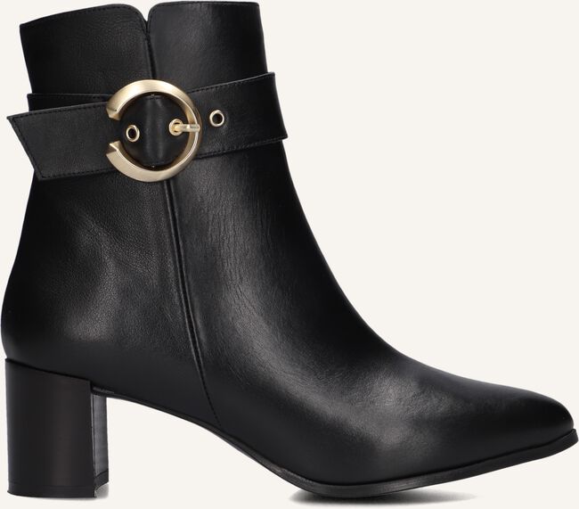 NOTRE-V 8552 NOTRE-V 8552 - large