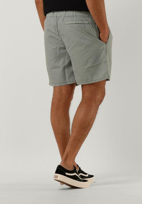 SHIWI Shorts de bain MEN SWIMSHORT SKINNY STRIPE en vert - large