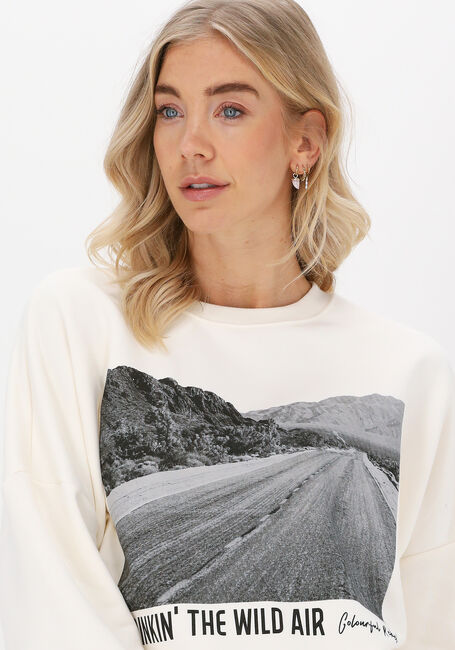 COLOURFUL REBEL Chandail WILD AIR DROPPED SHOULDER SWEA Blanc - large