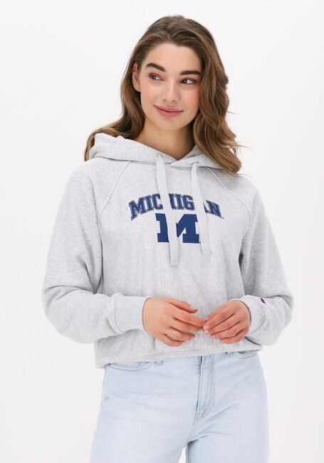 CHAMPION Pull HOODED SWEATSHIRT 115110 Gris clair - large