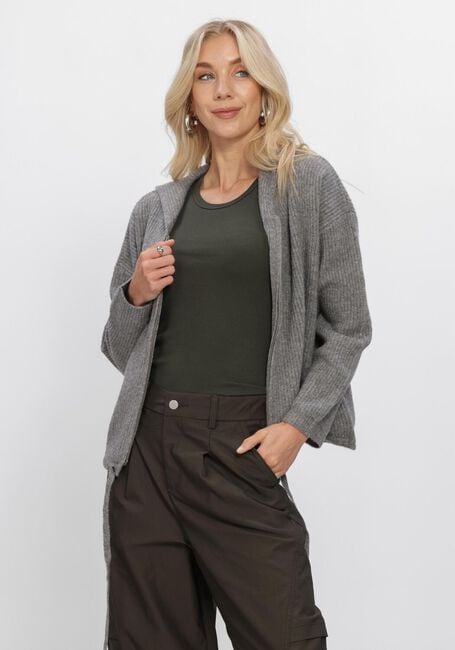 Grijze WITHBLACK Trui WBLMELODI HOODED PULLOVER - large