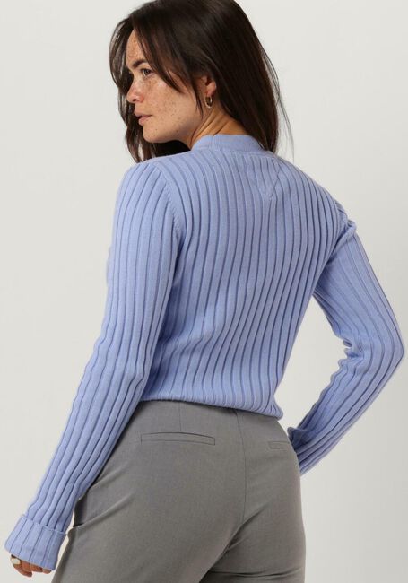 Lichtblauwe TOMMY JEANS Trui BXY RIB SWEATER - large