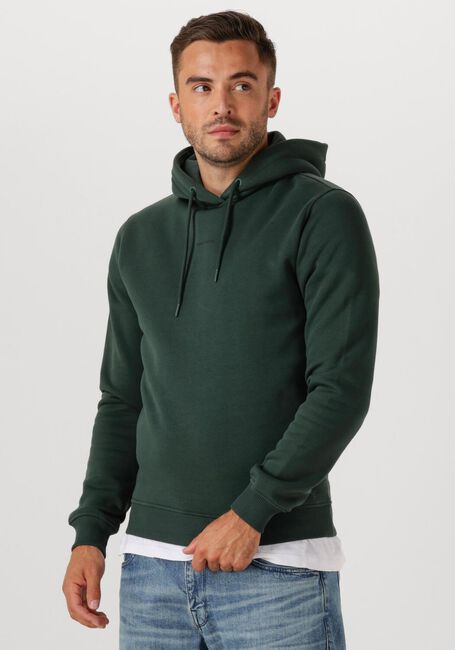 Donkergroene PURE PATH Trui REGULAR FIT HOODIE LS SWEATERS - large