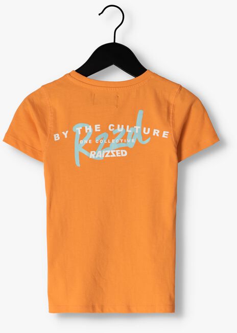 RAIZZED T-shirt SUNRAY en orange - large
