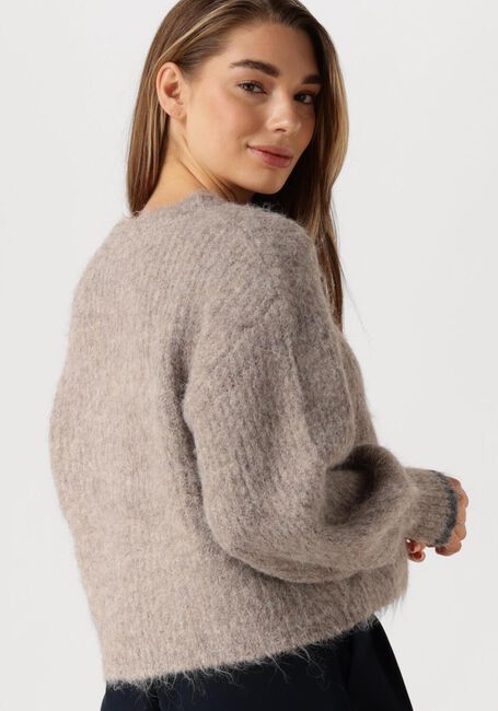 Bruine CO'COUTURE Truien/vesten CORALEE CROP KNIT - large