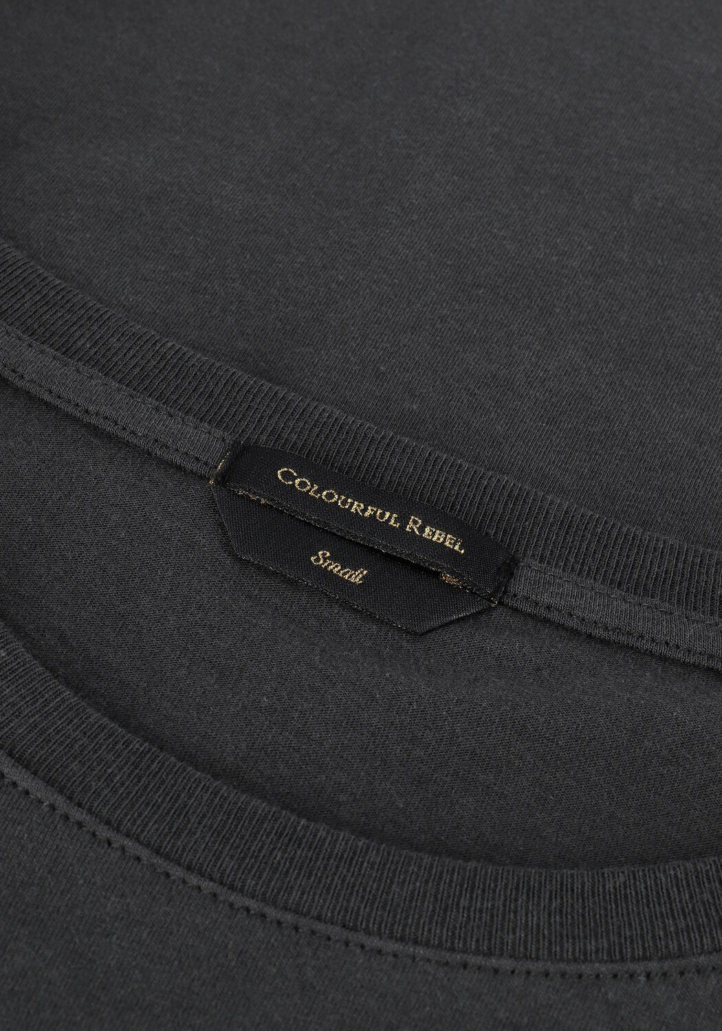 COLOURFUL REBEL T-shirt BORN LUCKY GLITTER CLASSIC TEE en gris - large