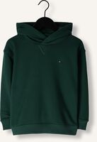 Groene TOMMY HILFIGER Trui U TIMELESS HOODIE Groene TOMMY HILFIGER Trui U TIMELESS HOODIE - medium