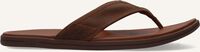 UGG M SEASIDE  FLIP Tongs en marron UGG M SEASIDE  FLIP Tongs en marron - medium