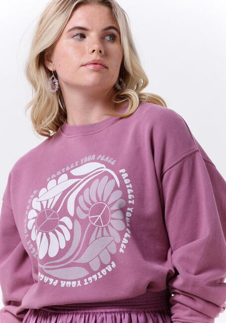 CATWALK JUNKIE Pull SW PROTECT en rouge - large