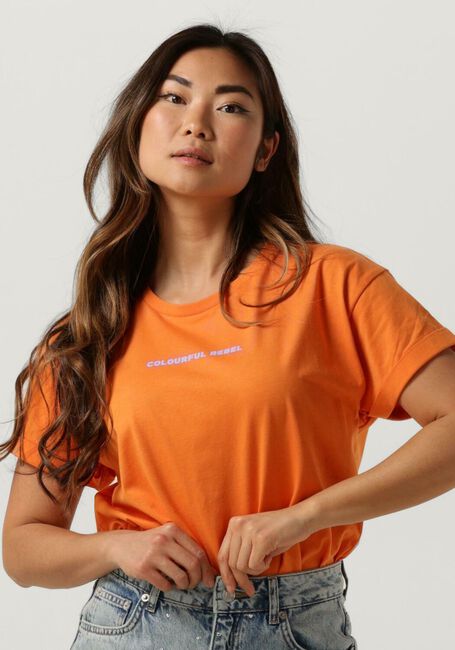 Oranje COLOURFUL REBEL T-shirt UNI LOGO BOXY TEE - large